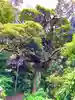金刀比羅神社(茨城県)