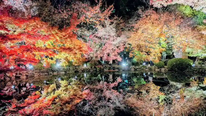 東寺(教王護国寺)(京都府)