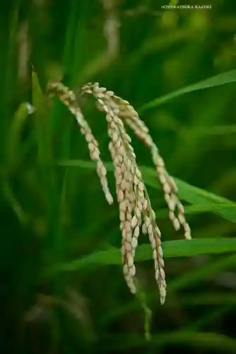本牧神社(神奈川県)