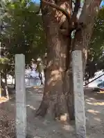 厳島神社の自然