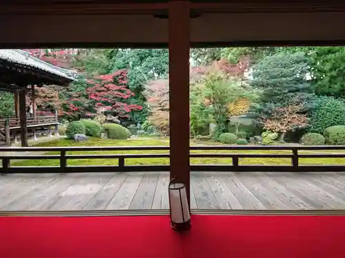 隨心院（随心院）の庭園