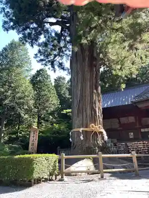 北口本宮冨士浅間神社(山梨県)