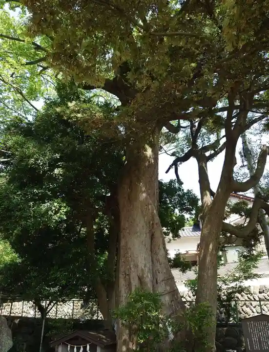 菅原神社(神奈川県)