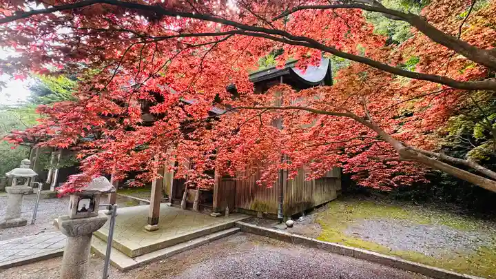 佐支神社(福井県)
