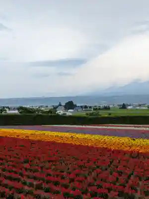 富良野神社の周辺