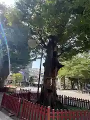 大國魂神社(東京都)