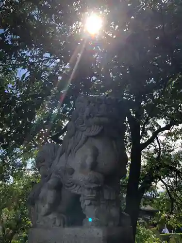 六孫王神社の狛犬