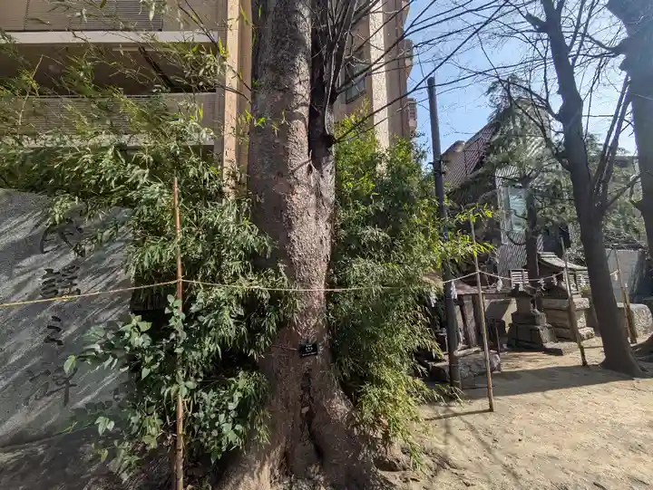亀有香取神社(東京都)