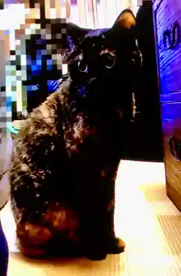 五十稲荷神社(栄寿稲荷神社)(東京都)