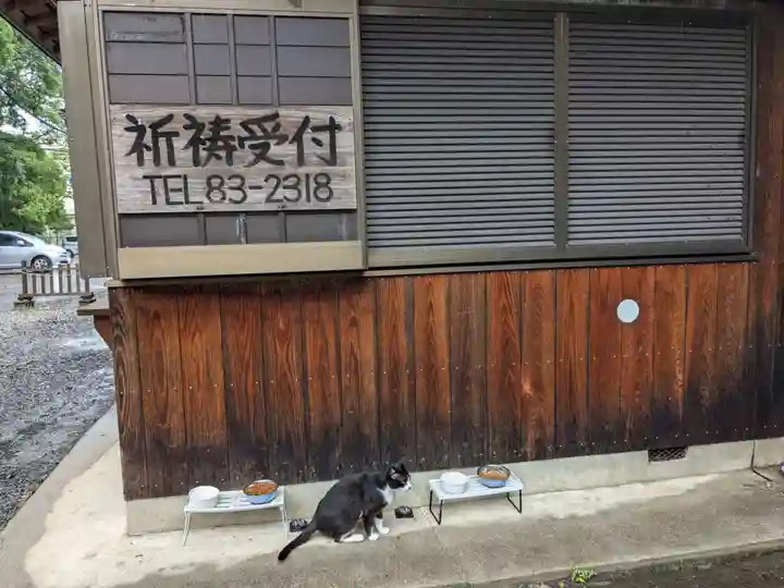 八幡社(柏井町)の動物