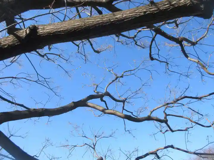 吉祥寺(東京都)