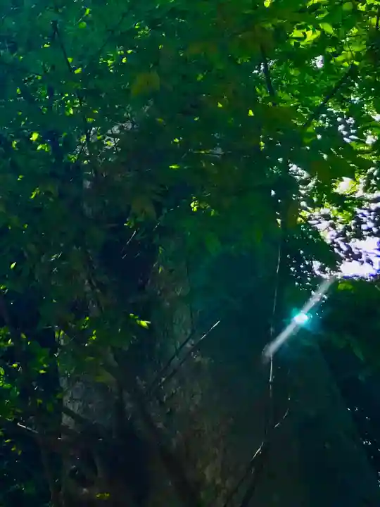 愛宕神社の自然