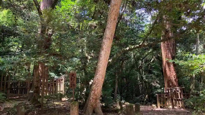 八重垣神社の自然