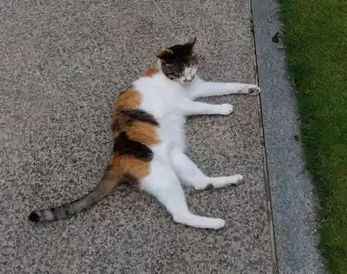 潮音寺(神奈川県)