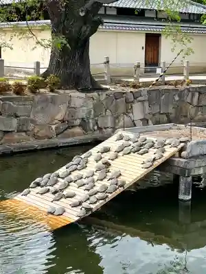 四天王寺の{uncategorized: "未分類", other: "その他", undefined: "問題あり", building: "その他建物", grave: "お墓", sacred_gate: "鳥居", guardian: "狛犬", statue: "像", buddha: "仏像", history: "歴史", nature: "自然", garden: "庭園", animal: "動物", pagoda: "塔", temizu: "手水舎", mountain_gate: "山門・神門", sanctuary: "本殿・本堂", subordinate: "末社・摂社", art: "芸術", scenery: "景色", jizo: "地蔵", ema: "絵馬", goshuin: "御朱印", omikuji: "おみくじ", items: "授与品その他", amulet: "お守り", goshuincho: "御朱印帳", eats: "食事", festival: "お祭り", votive_dance: "神楽", shichigosan: "七五三参", wedding: "結婚式", experience: "体験その他", initially: "初詣", around: "周辺", anti_infection: "感染症対策"}