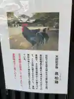 玉祖神社(山口県)