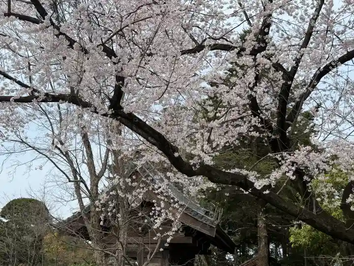中院の{uncategorized: "未分類", other: "その他", undefined: "問題あり", building: "その他建物", grave: "お墓", sacred_gate: "鳥居", guardian: "狛犬", statue: "像", buddha: "仏像", history: "歴史", nature: "自然", garden: "庭園", animal: "動物", pagoda: "塔", temizu: "手水舎", mountain_gate: "山門・神門", sanctuary: "本殿・本堂", subordinate: "末社・摂社", art: "芸術", scenery: "景色", jizo: "地蔵", ema: "絵馬", goshuin: "御朱印", omikuji: "おみくじ", items: "授与品その他", amulet: "お守り", goshuincho: "御朱印帳", eats: "食事", festival: "お祭り", votive_dance: "神楽", shichigosan: "七五三参", wedding: "結婚式", experience: "体験その他", initially: "初詣", around: "周辺", anti_infection: "感染症対策"}