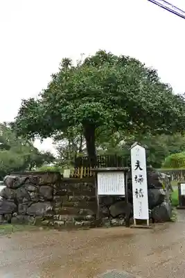 八重垣神社のその他建物