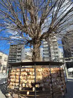 今戸神社(東京都)