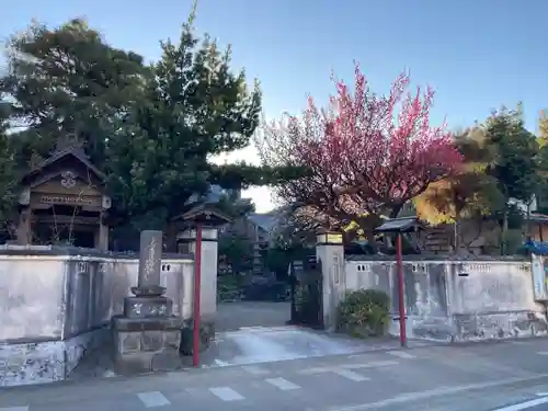 善性寺(神奈川県)