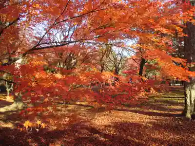 東福禅寺（東福寺）(京都府)
