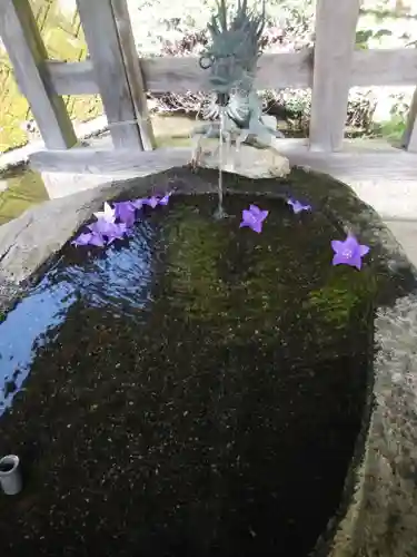 鹿島大神宮の手水舎