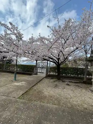 犬山神社(愛知県)