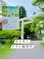 ホトカミチラシ配布中