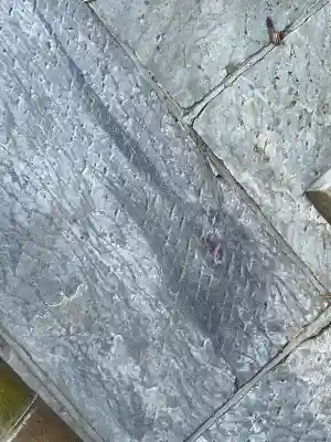 三峯神社(埼玉県)