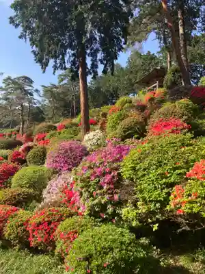 塩船観音寺(東京都)