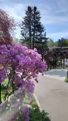 相馬神社の周辺