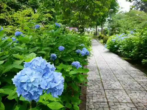 有珠善光寺(北海道)