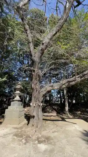 中山神社の自然
