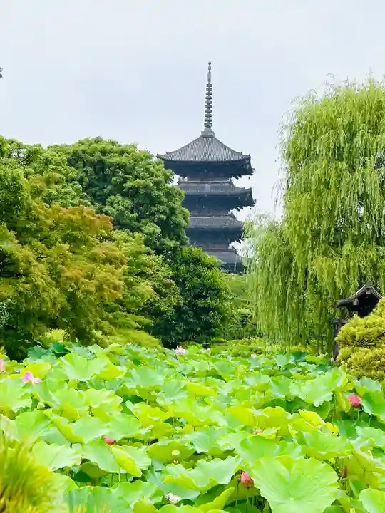 東寺(教王護国寺)(京都府)