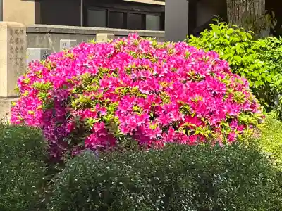 一乗寺(大阪府)