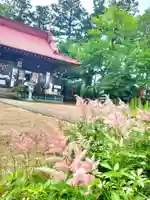 岡部春日神社~👹鬼門よけの🌺花咲く🌺やしろ~(福島県)