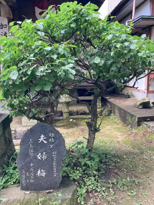 加波山普明神社(茨城県)