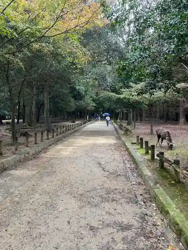 春日大社(奈良県)