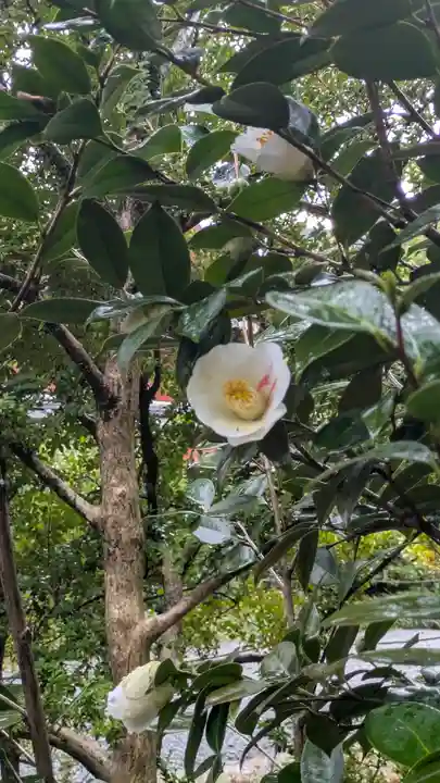 城南宮(京都府)