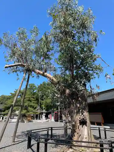 氣比神宮(福井県)