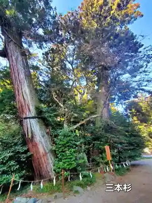 香取神宮(千葉県)