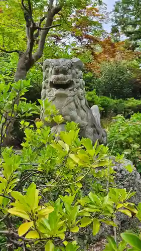 善光寺の狛犬