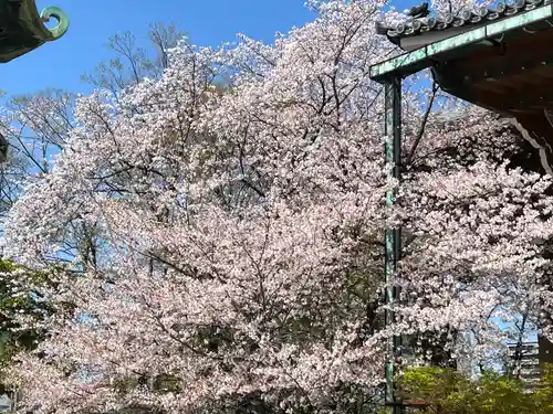 真宗大谷派名古屋別院(愛知県)