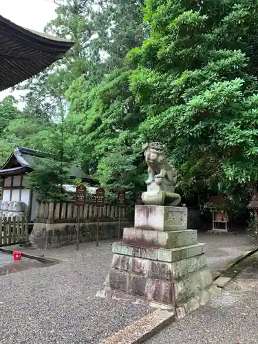 御上神社の狛犬