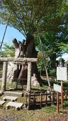 有礒正八幡宮(富山県)
