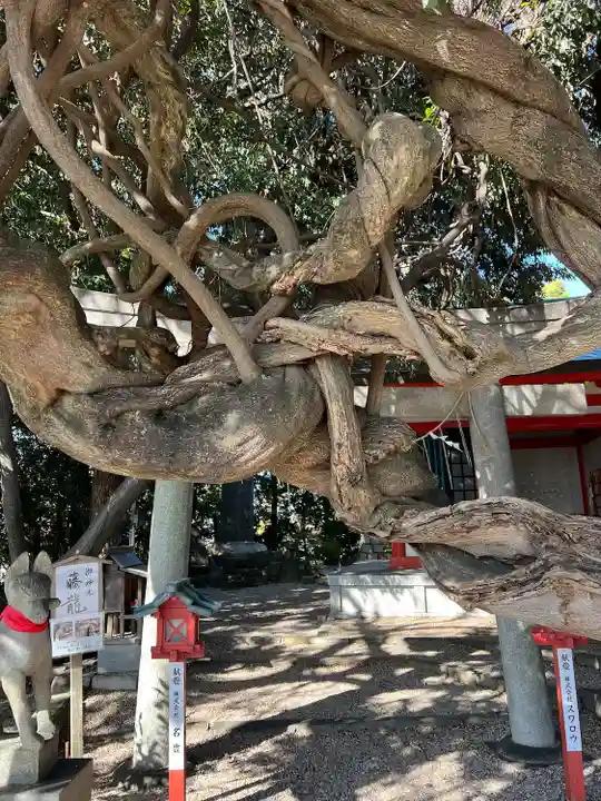 豊藤稲荷神社の自然