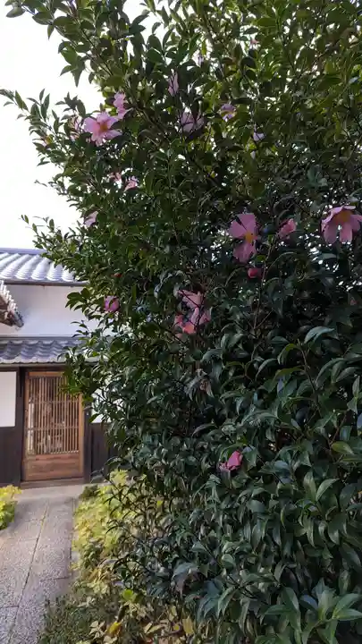 尊陽院(京都府)