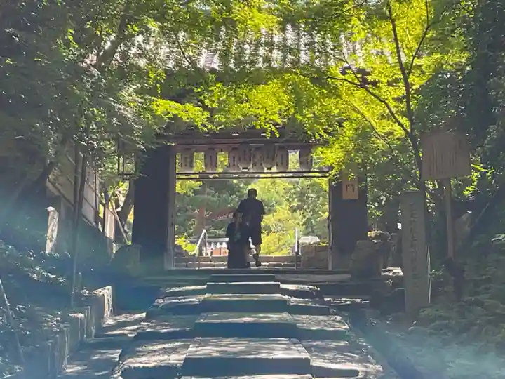 高台寺(高台寿聖禅寺・高臺寺)(京都府)