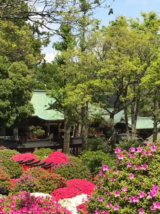 根津神社(東京都)