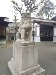 旗岡八幡神社の狛犬